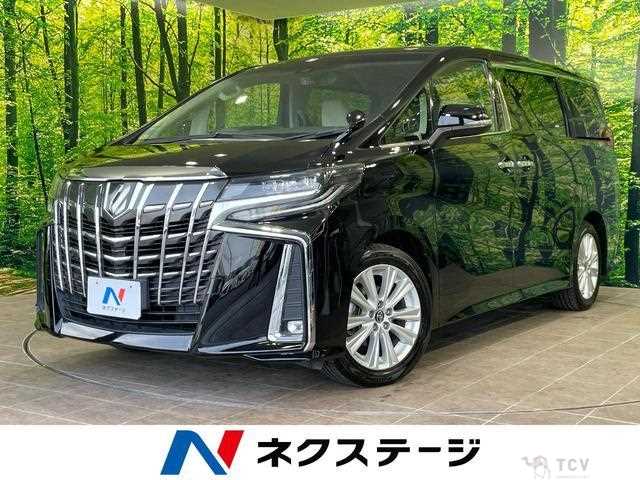 2019 Toyota Alphard G