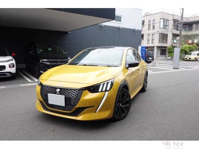 2021 Peugeot Peugoet Others