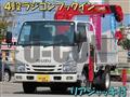 2018 Isuzu Elf Truck