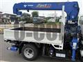 2020 Isuzu Elf Truck