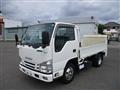 2020 Isuzu Elf Truck