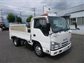 2020 Isuzu Elf Truck