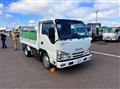 2020 Isuzu Elf Truck