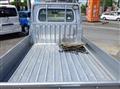 2010 Daihatsu Hijet Truck
