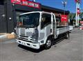 2017 Isuzu Elf Truck