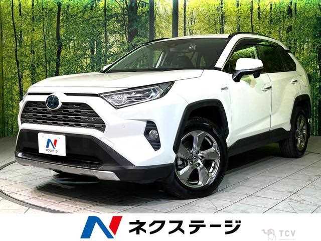 2019 Toyota RAV4