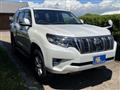 2019 Toyota Land Cruiser Prado