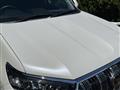 2019 Toyota Land Cruiser Prado