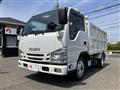 2019 Isuzu Elf Truck