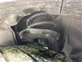 2025 Nissan Note