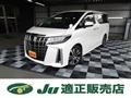 2019 Toyota Alphard G