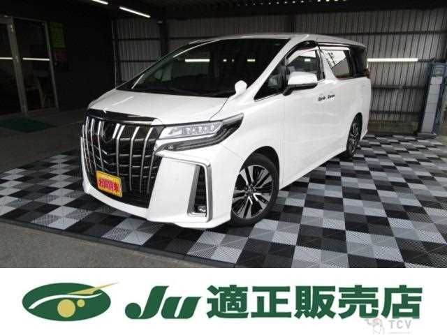 2019 Toyota Alphard G