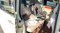 2012 Honda N BOX