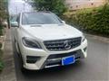 2014 Mercedes-Benz M-Class