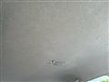 2005 Toyota Corolla Fielder