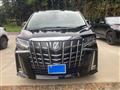 2019 Toyota Alphard G