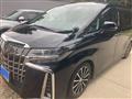 2019 Toyota Alphard G
