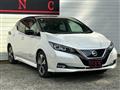 2019 Nissan Leaf