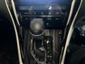 2019 Toyota Harrier