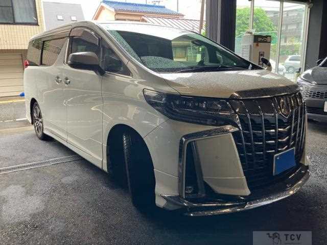 2019 Toyota Alphard G