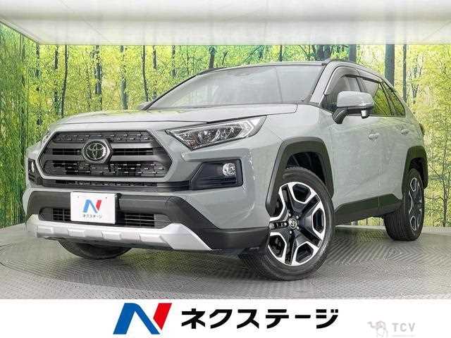 2019 Toyota RAV4