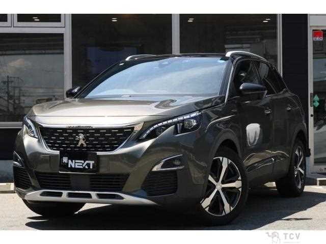 2021 Peugeot Peugoet Others