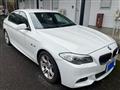 2010 BMW 5 Series