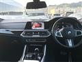 2023 BMW X6