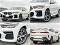 2023 BMW X6
