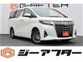 2019 Toyota Alphard G