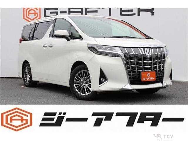 2019 Toyota Alphard G