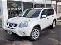 2013 Nissan X-Trail