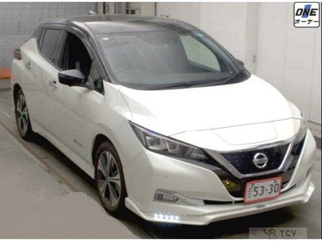 2019 Nissan Leaf