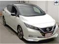 2019 Nissan Leaf