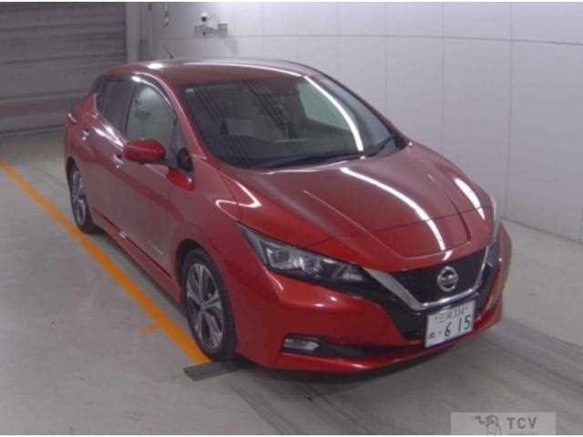 2019 Nissan Leaf