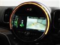 2017 BMW MINI