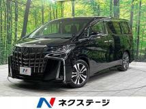 2019 Toyota Alphard G