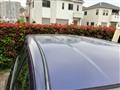 2007 Toyota IST