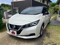2020 Nissan Leaf