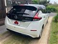 2020 Nissan Leaf