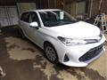 2019 Toyota Corolla Fielder