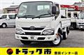 2019 Toyota Dyna Truck