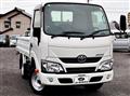 2019 Toyota Dyna Truck