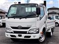 2019 Toyota Dyna Truck