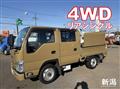 2019 Isuzu Elf Truck