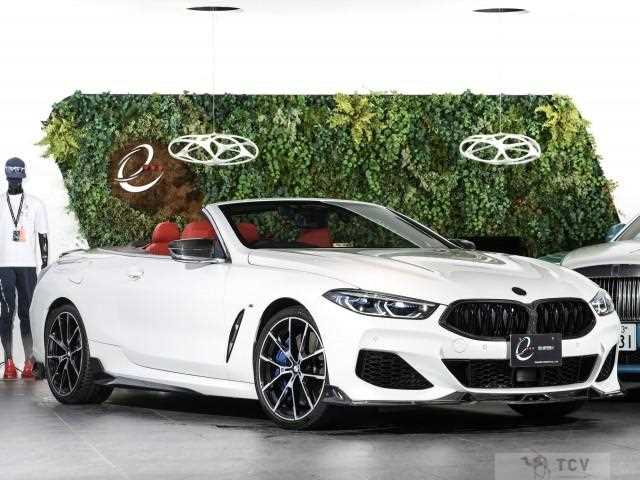 2019 BMW 8 Series