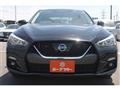 2019 Nissan Skyline