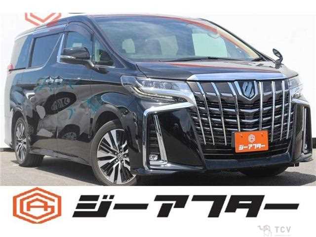 2021 Toyota Alphard G