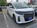 2021 Toyota Alphard G