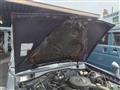 1992 Nissan Sunny Truck